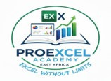 Pro Excel Academy